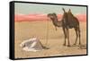 Praying in the Desert-null-Framed Stretched Canvas