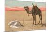 Praying in the Desert-null-Mounted Photographic Print