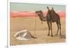 Praying in the Desert-null-Framed Photographic Print