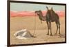 Praying in the Desert-null-Framed Photographic Print