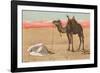 Praying in the Desert-null-Framed Photographic Print