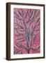 Praying Mantis, 1995-Tamas Galambos-Framed Giclee Print