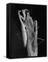 Praying Mantises-Margaret Bourke-White-Framed Stretched Canvas