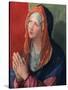 Praying Mary, 1518-Albrecht Durer-Stretched Canvas