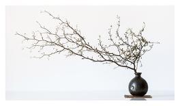 Vase And Branch-null-Framed Giclee Print