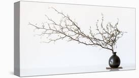 Vase And Branch-null-Mounted Giclee Print