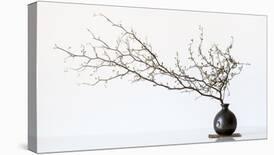 Vase And Branch-null-Mounted Giclee Print