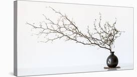 Vase And Branch-null-Laminated Giclee Print