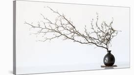 Vase And Branch-null-Mounted Giclee Print