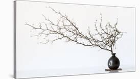 Vase And Branch-null-Laminated Giclee Print