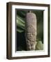 Pre-Columbian Indian Artefact, from the Hodges Collection, Haiti, West Indies, Caribbean-Woolfitt Adam-Framed Photographic Print