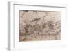 Pre-Columbian Rock Paintings inside La Linea Limestone Cave, Dominican Republic-Reinhard Dirscherl-Framed Photographic Print