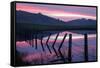 Pre Dawn Petaluma Roadside, Northern California-Vincent James-Framed Stretched Canvas