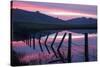 Pre Dawn Petaluma Roadside, Northern California-Vincent James-Stretched Canvas