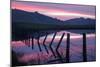 Pre Dawn Petaluma Roadside, Northern California-Vincent James-Mounted Premium Photographic Print