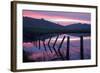 Pre Dawn Petaluma Roadside, Northern California-Vincent James-Framed Photographic Print