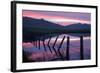 Pre Dawn Petaluma Roadside, Northern California-Vincent James-Framed Photographic Print