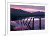 Pre Dawn Petaluma Roadside, Northern California-Vincent James-Framed Photographic Print