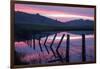 Pre Dawn Petaluma Roadside, Northern California-Vincent James-Framed Photographic Print