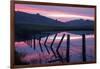 Pre Dawn Petaluma Roadside, Northern California-Vincent James-Framed Photographic Print