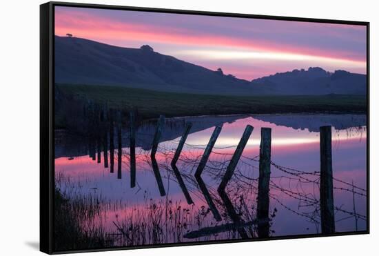 Pre Dawn Petaluma Roadside, Northern California-Vincent James-Framed Stretched Canvas