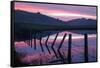 Pre Dawn Petaluma Roadside, Northern California-Vincent James-Framed Stretched Canvas