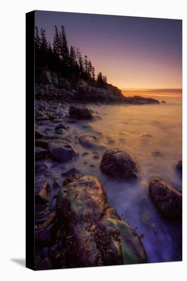 Pre Dawn Seascape, Atlantic Coast, Maine, Acadia National Park-Vincent James-Stretched Canvas