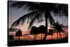 Pre Dawn Tropical Trees-Robert Goldwitz-Stretched Canvas