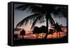 Pre Dawn Tropical Trees-Robert Goldwitz-Framed Stretched Canvas