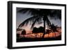 Pre Dawn Tropical Trees-Robert Goldwitz-Framed Photographic Print