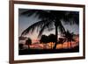 Pre Dawn Tropical Trees-Robert Goldwitz-Framed Photographic Print