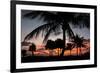 Pre Dawn Tropical Trees-Robert Goldwitz-Framed Photographic Print