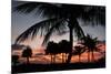 Pre Dawn Tropical Trees-Robert Goldwitz-Mounted Photographic Print