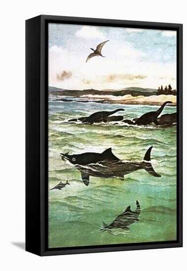 Pre-Historic Sea Creatures-English School-Framed Stretched Canvas