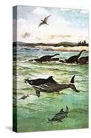 Pre-Historic Sea Creatures-English School-Stretched Canvas