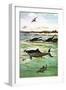 Pre-Historic Sea Creatures-English School-Framed Premium Giclee Print