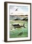 Pre-Historic Sea Creatures-English School-Framed Giclee Print