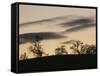 Pre-Storm, Hampstead Heath, London, England, United Kingdom-Upperhall-Framed Stretched Canvas