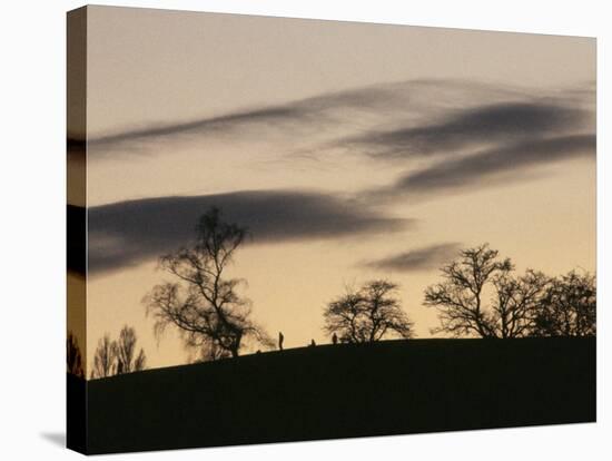 Pre-Storm, Hampstead Heath, London, England, United Kingdom-Upperhall-Stretched Canvas