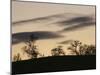 Pre-Storm, Hampstead Heath, London, England, United Kingdom-Upperhall-Mounted Premium Photographic Print