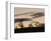 Pre-Storm, Hampstead Heath, London, England, United Kingdom-Upperhall-Framed Photographic Print