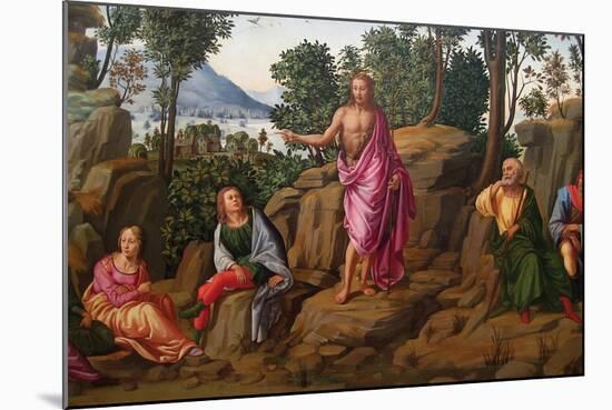 Preaching of Saint John the Baptist-Francesco Granacci-Mounted Art Print