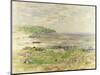 Preaching of St. Columba, Iona, Inner Hebrides-William McTaggart-Mounted Giclee Print