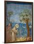 Preaching to the Birds-Giotto di Bondone-Framed Art Print