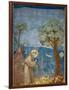 Preaching to the Birds-Giotto di Bondone-Framed Art Print