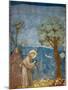 Preaching to the Birds-Giotto di Bondone-Mounted Art Print
