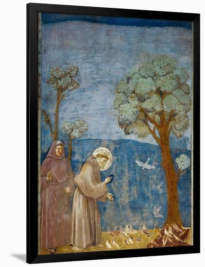 Preaching to the Birds-Giotto di Bondone-Framed Art Print