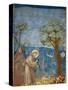 Preaching to the Birds-Giotto di Bondone-Stretched Canvas