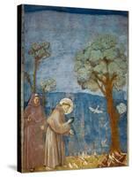 Preaching to the Birds-Giotto di Bondone-Stretched Canvas