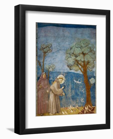 Preaching to the Birds-Giotto di Bondone-Framed Art Print